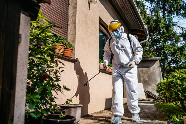 Best Termite Control Services  in Bayview, CA