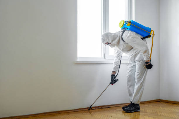 Best Wasp Removal Services  in Bayview, CA