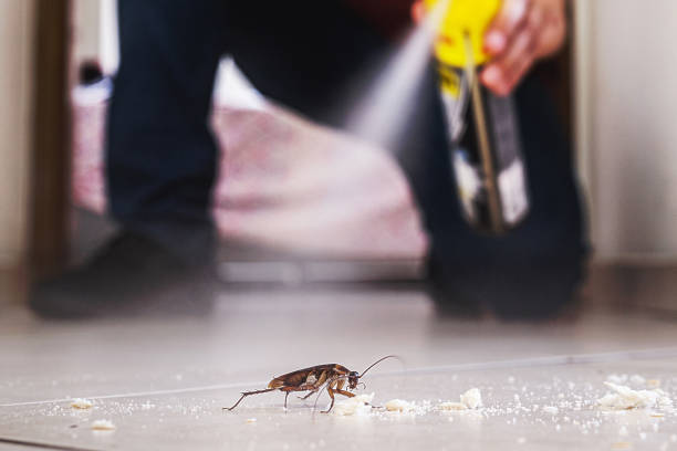 Best Commercial Pest Control Services  in Bayview, CA