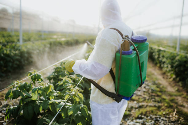 Best Exterminator Services  in Bayview, CA